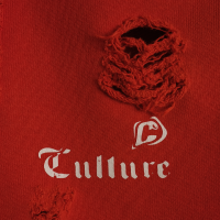 Шорты Culture Studio RED / S-M