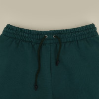 Джоггеры Culture Vintage Green