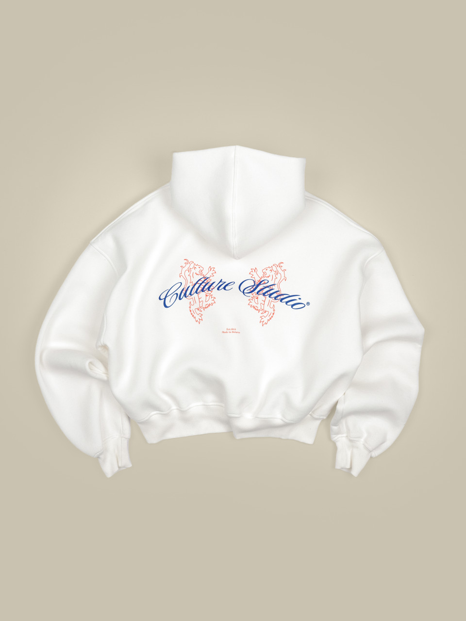 Culture fleece mini hoodie