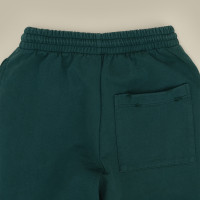 Джоггеры Culture Vintage Green